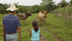 A farmer and his daughter stand before their cows in a field near their home.